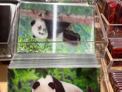 -三联韬奋书店(宽窄巷子店)