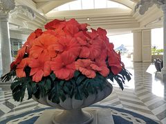 -塞班肯辛顿酒店Kensington Hotel Saipan