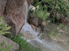 -海南文笔峰盘古文化旅游区