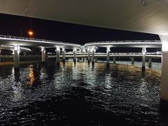 -演武大桥观景平台