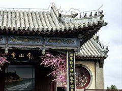 -蓬莱仙岛