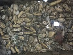 -小船渔村•大连菜•大连焖鱼(明泽街店)