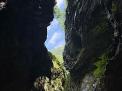 -牛背梁国家森林公园