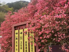 -木兰云雾山