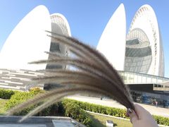 -LIN COFFEE CO(龙珠达店)