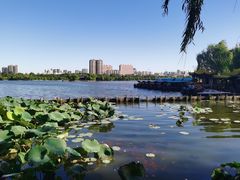 -济南大明湖景区