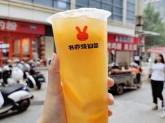 冰爽香橙冻冻-书亦烧仙草(二七万达广场店)