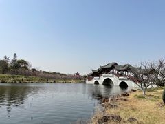 -上海海湾国家森林公园