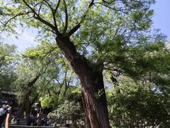 -晋祠博物馆
