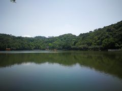 -西樵山风景名胜区-天湖公园