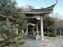 -南京古林公园