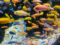 -太平洋海底世界