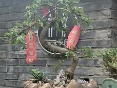 -院8里·少城记忆老川菜(宽窄巷子店)