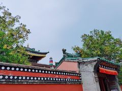 -塔尔寺游客服务中心