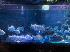 -多彩贵州城极地海洋世界