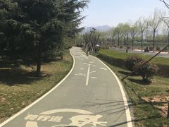 -洨河生态公园