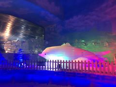 -世界之窗阿尔卑斯冰雪世界