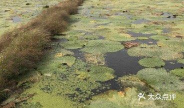 水八仙生态文化园--苏州休闲卡景点打卡攻略