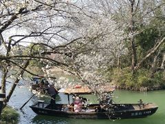 -西溪国家湿地公园