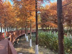 -上海月湖雕塑公园