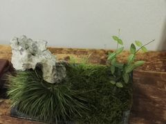 -徐汇艺术馆