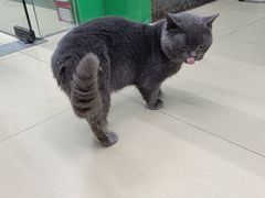 -瑞派动物医院·猫专科·至诚(江南中分院)