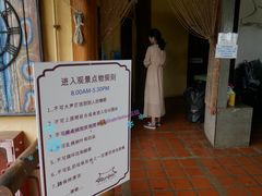 -大树秋千