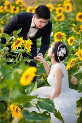 -伊诺摄影(徐州优选店)