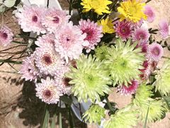 -甲乙果 美术书法(通州校区)