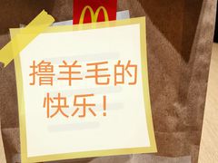 -麦当劳(龙阳路店)