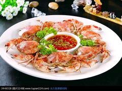 -食海部落