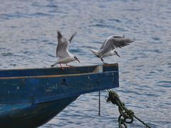 -丽江泸沽湖景区