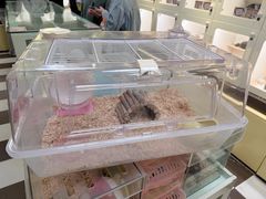 -龙猫仔乐园(惠福东路店)