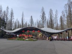 -东平国家森林公园