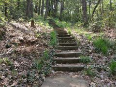 -青龙山国家森林公园