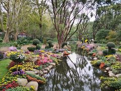 -共青国家森林公园-售票处