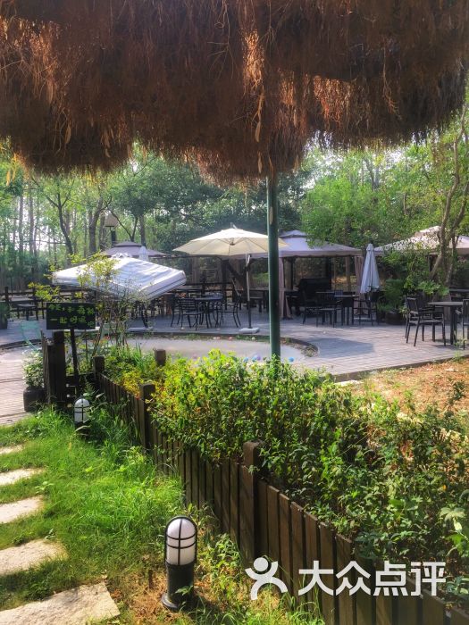 呼吸森林-图片-苏州美食-大众点评网