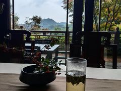 -十八棵（老龙井）御茶园(老龙井店)