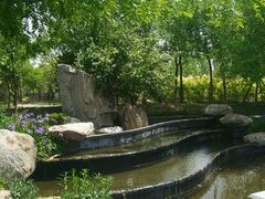 -武清南湖绿博园