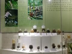 -广东中医药博物馆