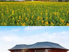 -中国天府农业博览园