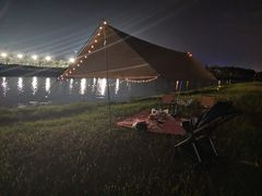 -春花秋色城市公园