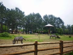 -大连森林动物园