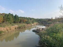 -上海长兴岛郊野公园