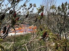 -山西乌金山旅游区