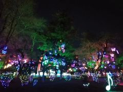 -二一九公园
