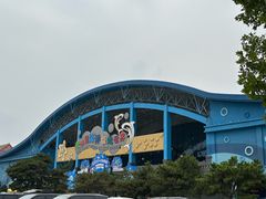 -泉城欧乐堡海洋极地世界