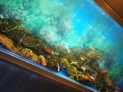 -人杰鱼乐轩(珠江路店)