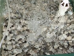 -四海鲜渔家菜(黄金海岸店)