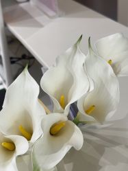 -春田皮肤管理中心品牌旗舰店